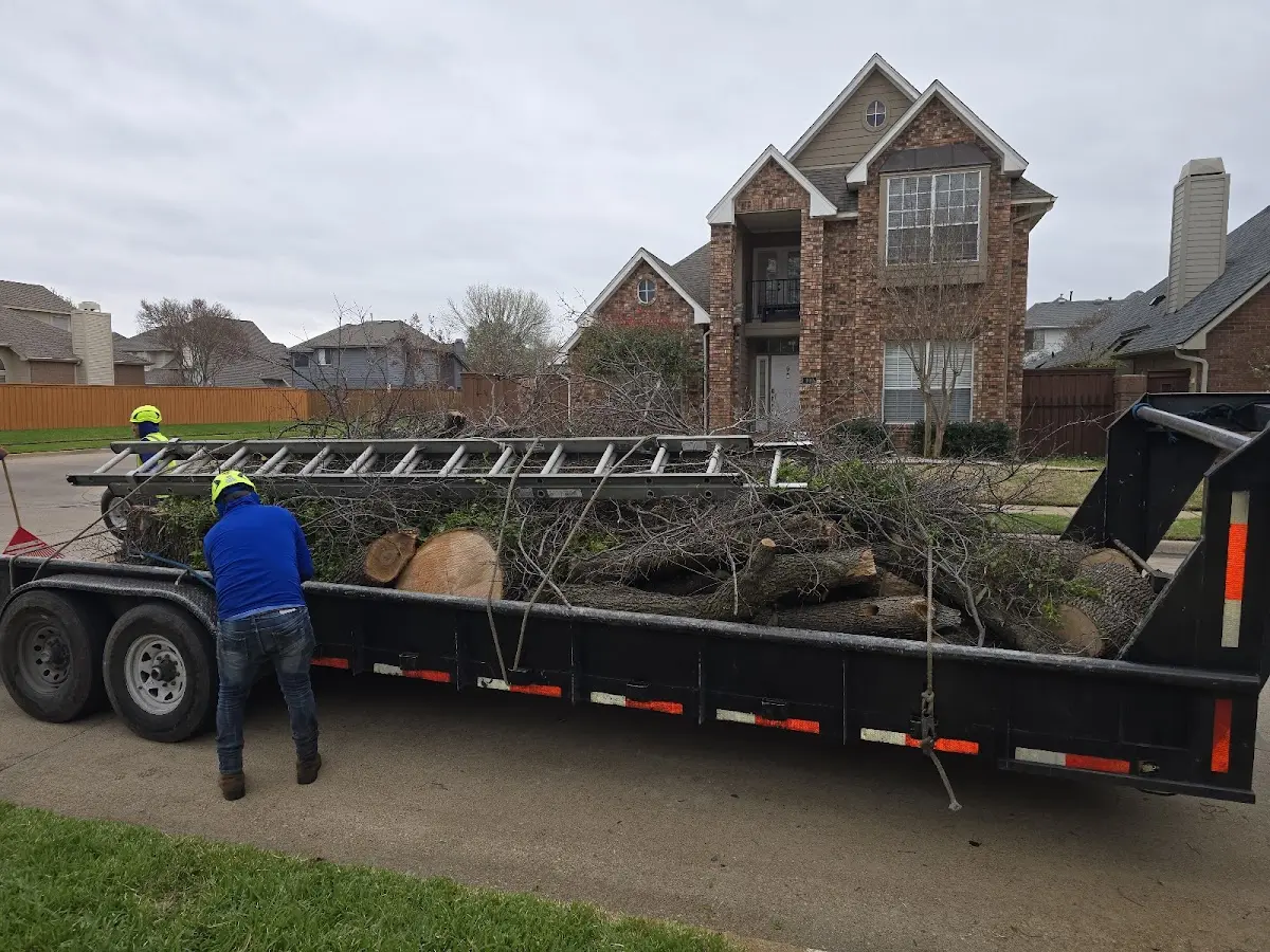 Expert Tree Fertilization with proper safety equipment in Lyndhurst